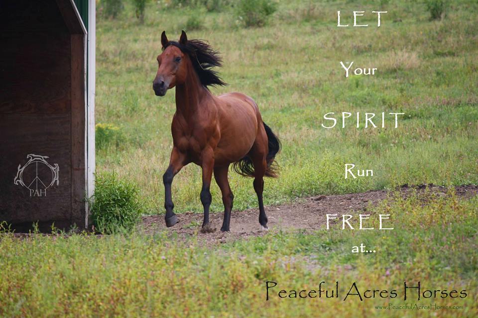Let your spirit run free
