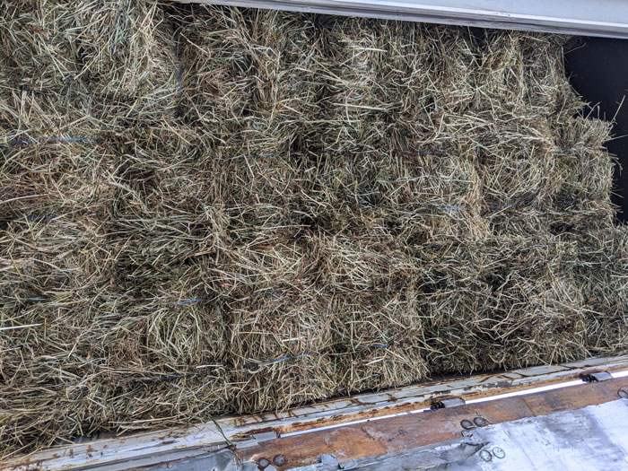 beautiful hay bales for PAH